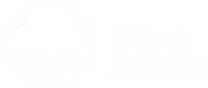 bliss website logo.png